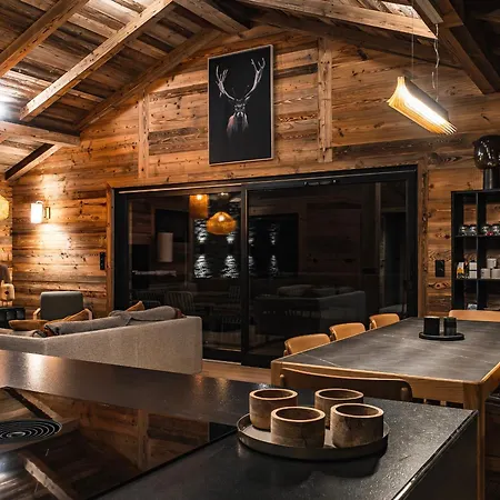 Шале Splendide 6 Pieces, Jacuzzi Et Sauna, Proche Pistes A Montalbert - Fr-1-755-24